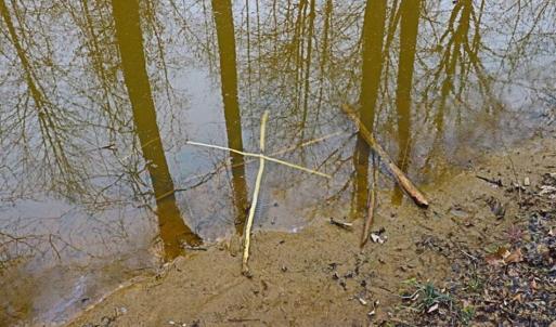 Photo of 21.87 + / - ac Timberland / Farmland for Sale in Chatham County, NC