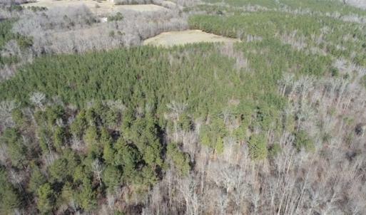 Photo of 21.87 + / - ac Timberland / Farmland for Sale in Chatham County, NC