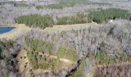 Photo of 21.87 + / - ac Timberland / Farmland for Sale in Chatham County, NC