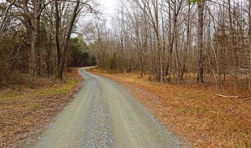 Photo of 21.87 + / - ac Timberland / Farmland for Sale in Chatham County, NC