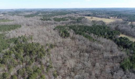 Photo of 21.87 + / - ac Timberland / Farmland for Sale in Chatham County, NC
