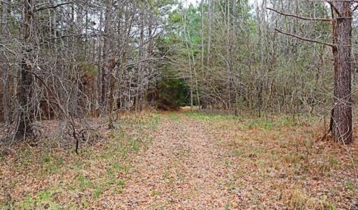 Photo of 21.87 + / - ac Timberland / Farmland for Sale in Chatham County, NC