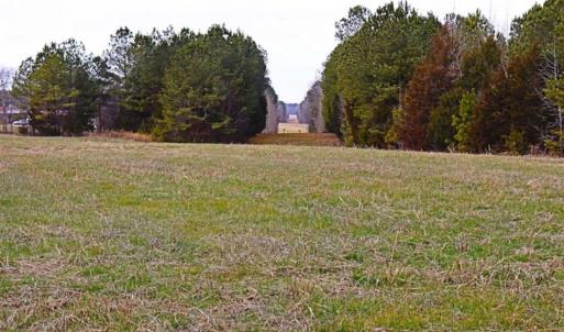 Photo of 21.87 + / - ac Timberland / Farmland for Sale in Chatham County, NC