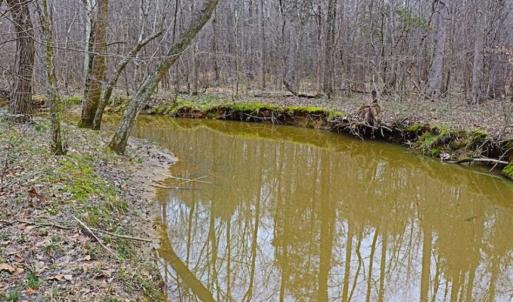 Photo of 21.87 + / - ac Timberland / Farmland for Sale in Chatham County, NC
