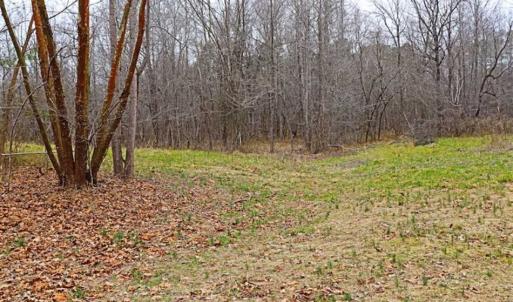 Photo of 21.87 + / - ac Timberland / Farmland for Sale in Chatham County, NC