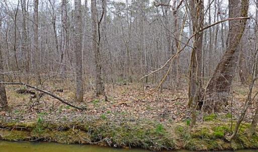 Photo of 21.87 + / - ac Timberland / Farmland for Sale in Chatham County, NC