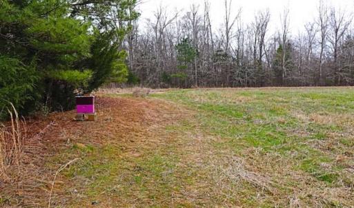 Photo of 21.87 + / - ac Timberland / Farmland for Sale in Chatham County, NC