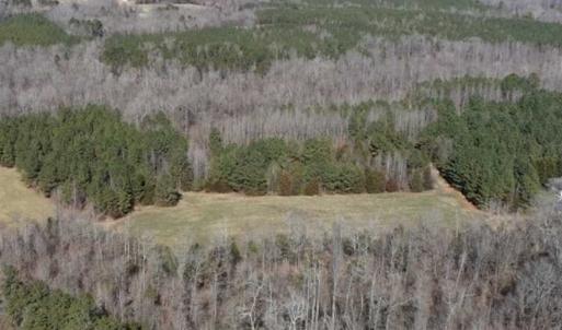 Photo of 21.87 + / - ac Timberland / Farmland for Sale in Chatham County, NC