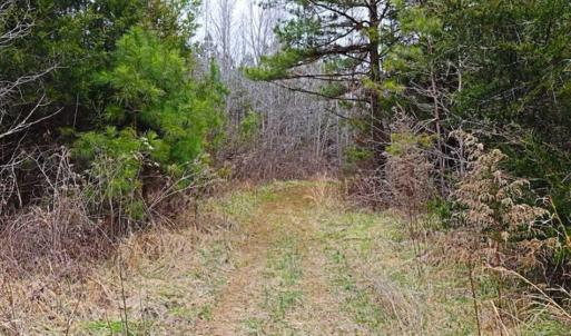 Photo of 21.87 + / - ac Timberland / Farmland for Sale in Chatham County, NC