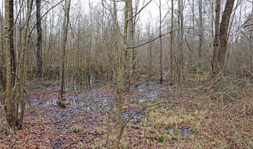 Photo of 21.87 + / - ac Timberland / Farmland for Sale in Chatham County, NC