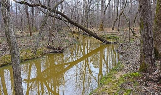 Photo of 21.87 + / - ac Timberland / Farmland for Sale in Chatham County, NC