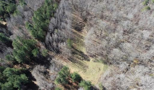 Photo of 21.87 + / - ac Timberland / Farmland for Sale in Chatham County, NC