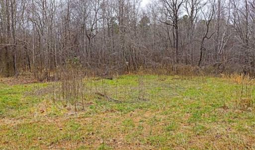 Photo of 21.87 + / - ac Timberland / Farmland for Sale in Chatham County, NC