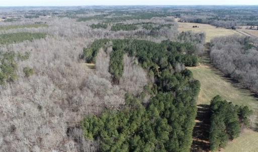 Photo of 21.87 + / - ac Timberland / Farmland for Sale in Chatham County, NC