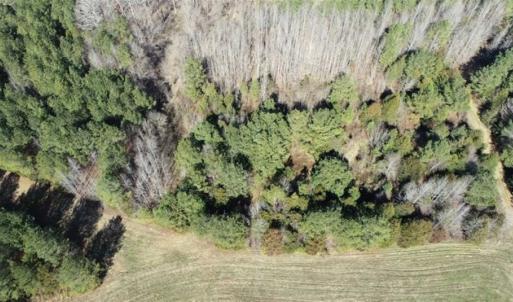 Photo of 21.87 + / - ac Timberland / Farmland for Sale in Chatham County, NC
