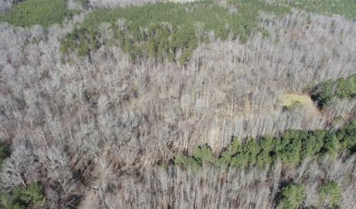 Photo of 21.87 + / - ac Timberland / Farmland for Sale in Chatham County, NC