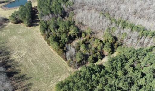 Photo of 21.87 + / - ac Timberland / Farmland for Sale in Chatham County, NC