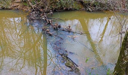 Photo of 21.87 + / - ac Timberland / Farmland for Sale in Chatham County, NC