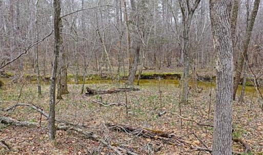 Photo of 21.87 + / - ac Timberland / Farmland for Sale in Chatham County, NC