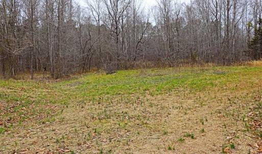 Photo of 21.87 + / - ac Timberland / Farmland for Sale in Chatham County, NC