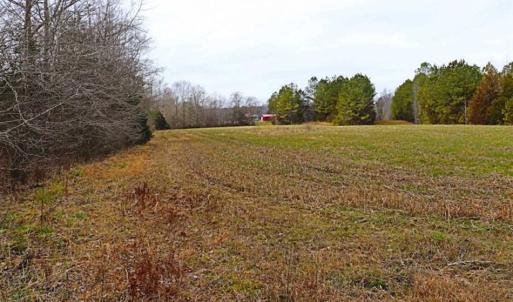 Photo of 21.87 + / - ac Timberland / Farmland for Sale in Chatham County, NC
