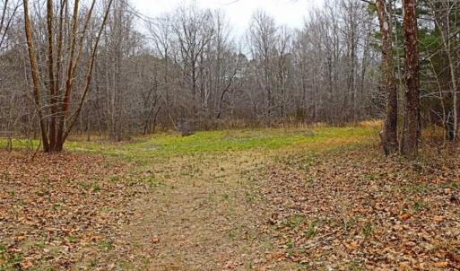 Photo of 21.87 + / - ac Timberland / Farmland for Sale in Chatham County, NC
