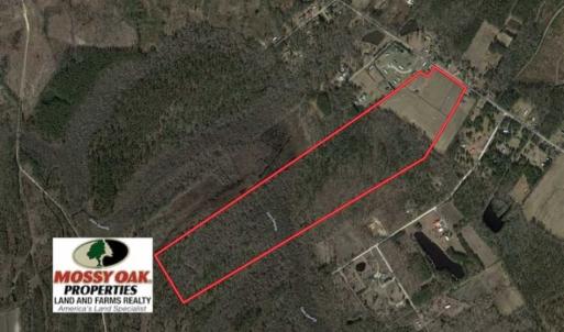 Photo of 108 acres of Hunting and Potential Development Land For Sale in Horry County SC!