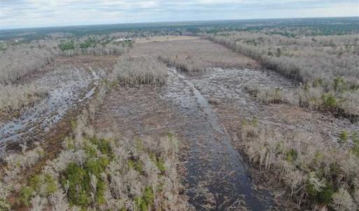 Photo of 108 acres of Hunting and Potential Development Land For Sale in Horry County SC!