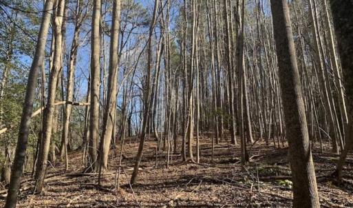 Photo of UNDER CONTRACT!!  25.07 Acres of Residential and Timber Land For Sale in Nash County NC!