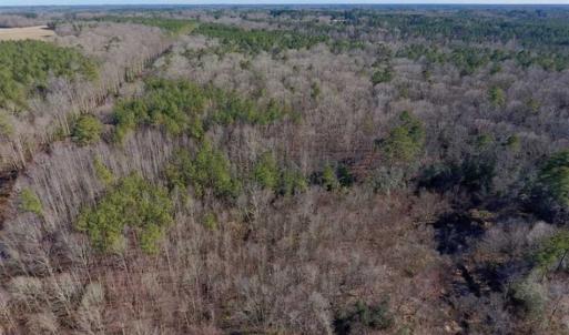 Photo of UNDER CONTRACT!!  25.07 Acres of Residential and Timber Land For Sale in Nash County NC!