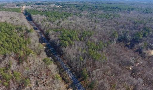 Photo of UNDER CONTRACT!!  25.07 Acres of Residential and Timber Land For Sale in Nash County NC!