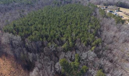 Photo of UNDER CONTRACT!!  25.07 Acres of Residential and Timber Land For Sale in Nash County NC!