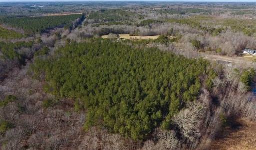 Photo of UNDER CONTRACT!!  25.07 Acres of Residential and Timber Land For Sale in Nash County NC!