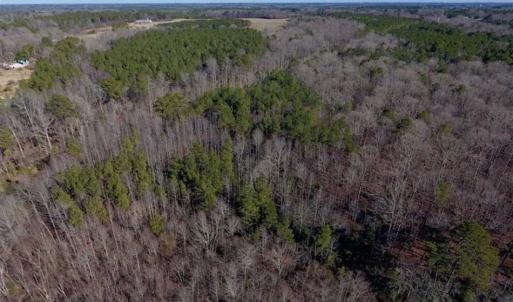 Photo of UNDER CONTRACT!!  25.07 Acres of Residential and Timber Land For Sale in Nash County NC!