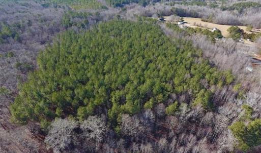 Photo of UNDER CONTRACT!!  25.07 Acres of Residential and Timber Land For Sale in Nash County NC!