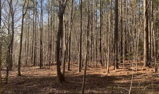 Photo of UNDER CONTRACT!!  25.07 Acres of Residential and Timber Land For Sale in Nash County NC!