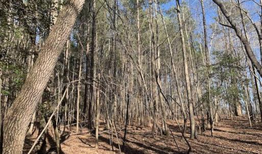 Photo of UNDER CONTRACT!!  25.07 Acres of Residential and Timber Land For Sale in Nash County NC!