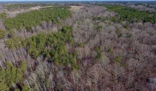 Photo of UNDER CONTRACT!!  25.07 Acres of Residential and Timber Land For Sale in Nash County NC!