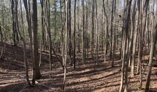 Photo of UNDER CONTRACT!!  25.07 Acres of Residential and Timber Land For Sale in Nash County NC!