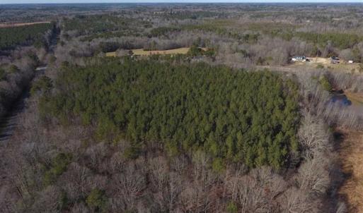 Photo of UNDER CONTRACT!!  25.07 Acres of Residential and Timber Land For Sale in Nash County NC!
