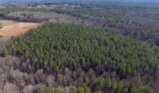 Photo of UNDER CONTRACT!!  25.07 Acres of Residential and Timber Land For Sale in Nash County NC!