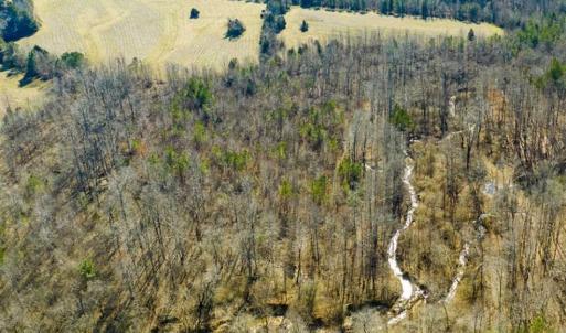 Photo of 100.29 + / -  acres of Farm and Recreational Land with House for Sale in Vance County NC!