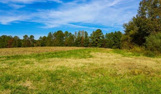 Photo of 100.29 + / -  acres of Farm and Recreational Land with House for Sale in Vance County NC!