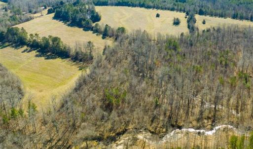 Photo of 100.29 + / -  acres of Farm and Recreational Land with House for Sale in Vance County NC!