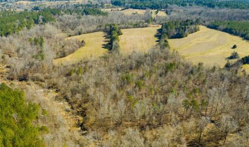 Photo of 100.29 + / -  acres of Farm and Recreational Land with House for Sale in Vance County NC!