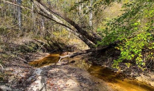 Photo of 100.29 + / -  acres of Farm and Recreational Land with House for Sale in Vance County NC!