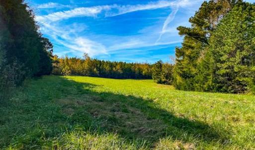 Photo of 100.29 + / -  acres of Farm and Recreational Land with House for Sale in Vance County NC!