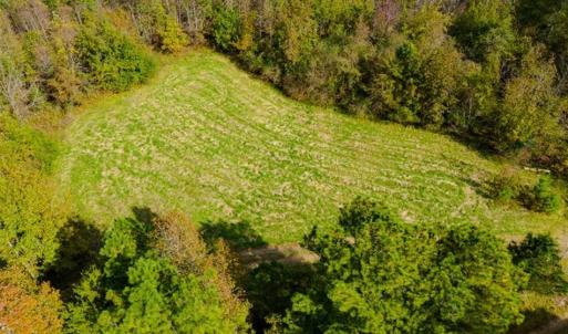 Photo of 100.29 + / -  acres of Farm and Recreational Land with House for Sale in Vance County NC!
