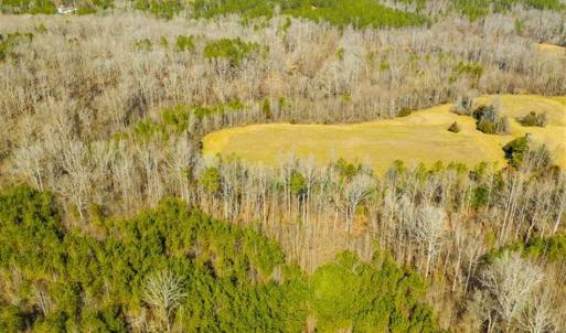 Photo of 100.29 + / -  acres of Farm and Recreational Land with House for Sale in Vance County NC!