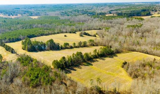 Photo of 100.29 + / -  acres of Farm and Recreational Land with House for Sale in Vance County NC!